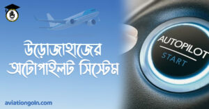 উড়োজাহাজের অটোপাইলট সিস্টেম