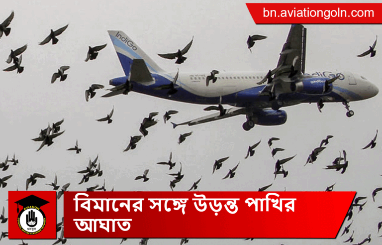 বিমানের সঙ্গে উড়ন্ত পাখির আঘাত