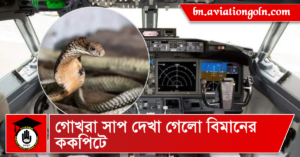 গোখরা সাপ দেখা গেলো বিমানের ককপিটে 4 গোখরা সাপ দেখা গেলো বিমানের ককপিটে
